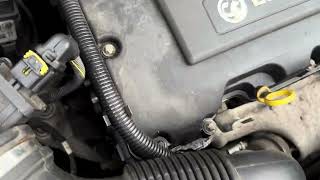 DY13KMJ Opel-Meriva 2010-2018 W0LSD9ED7D4131842