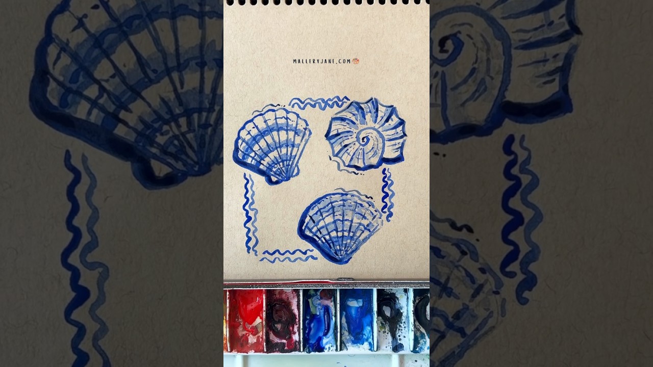 Easy how to draw seashells 