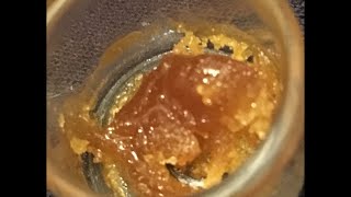SilverBack Gorilla 🦍 Cannabis Strain
