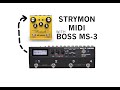 Strymon MIDI with BOSS MS-3