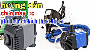 HƯỚNG DẪN CHỌN MÁY LỌC, MÁY BƠM PHÙ HỢP KÍCH THƯỚC HỒ CÁ @CakiengVn