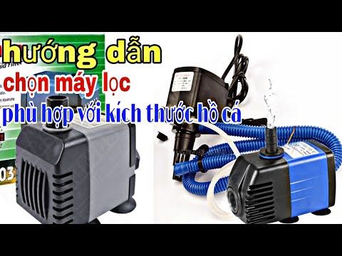 Video: Cách chọn máy bơm bề mặt