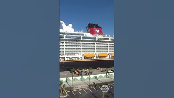 Disney cruise ship rescue team saves girl and father after overboard fall