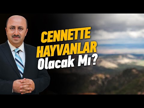 Hangi Hayvanlar Cennete Girebilecek? | Ömer Döngeloğlu