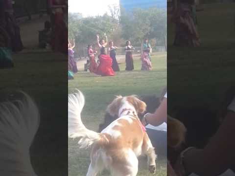 Guzel oynamişlar ama