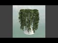 Miniature de la vidéo de la chanson New Winged Fire