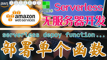 AWS Serverless 无服务器开发 - 中文基础入门教学 - 部署单个 Lambda 函数