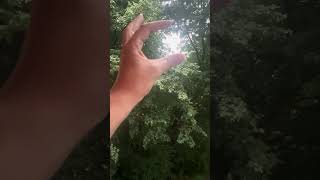 Can You Feel This? 🌧️✨ Calming Nature ASMR #ASMR #RainSounds #natureasmr