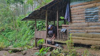 Download Lagu Dingin 🥶 Turun Hujan Deras - Aktivitas Sehari-hari Di Pondok Hutan - Ditemani Hewan peliharaan  MP3