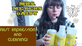 ꕥ𝐅𝐈𝐑𝐒𝐓 𝐈𝐌𝐏𝐑𝐄𝐒𝐒𝐈𝐎𝐍 & 𝐂𝐥𝐞𝐚𝐧𝐢𝐧𝐠🧽-𝐍𝐄𝐖 𝐌𝐑𝐒. 𝐌𝐞𝐲𝐞𝐫'𝐬 𝐒𝐩𝐫𝐢𝐧𝐠 𝐒𝐜𝐞𝐧𝐭 𝟐𝟎𝟐𝟐-𝐃𝐚𝐢𝐬𝐲 🌼(𝐕𝐞𝐠𝐚𝐧 𝐚𝐧𝐝 𝐂𝐫𝐮𝐞𝐥𝐭𝐲 𝐅𝐫𝐞𝐞)ꕥ