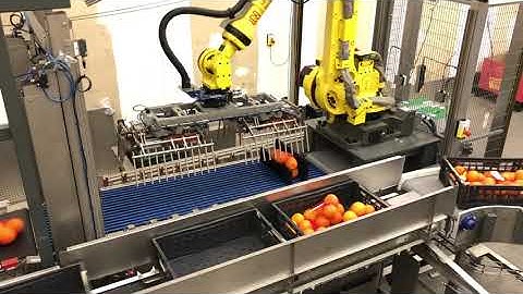 Test: crate loading oranges. Result: we can handle it!