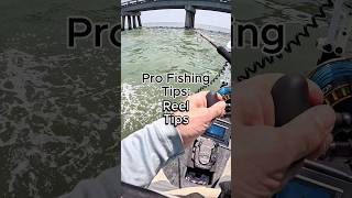 Pro Fishing Reel Tips #fishing #fishingtips