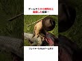 ゲームで500時間以上勉強した結果…