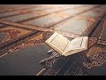 Quran Live القارئ مشاري العفاسي القرآن الكريم بث مباشر 