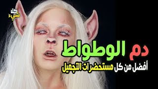 دم الوطواط أفضل من كل مستحضرات التجميل! كيف ذلك؟ | قناة كل شيء