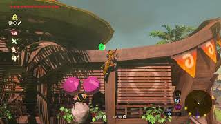 Lurelin Village Korok Seed - Easy Octo Balloon Technique