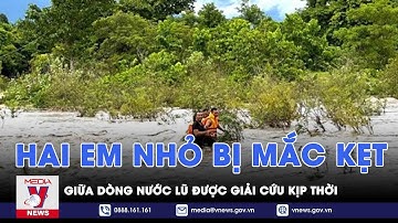 Giải cứu kịp thời hai em nhỏ bị mắc kẹt giữa dòng nước lũ - VNEWS