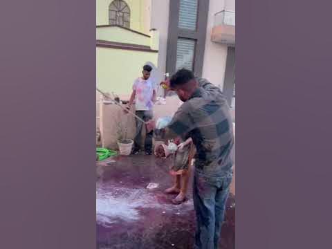 bhabhi sang holi story