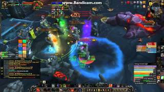 Postmortem vs. Kromog HC