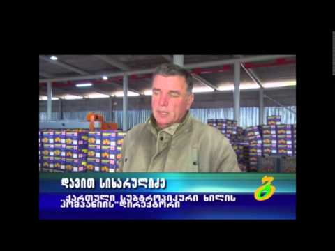 ციტრუსის გადამამუშავებელი საწარმო ნატანებში