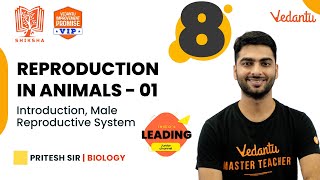 Reproduction in Animals 1|Introduction, Male Reproductive System|Shiksha 22 - 8|Pritesh Sir|Vedantu