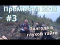 Промысел на соболя, рыбалка и охота 2018. #3