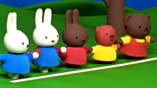 Boris Wettrennen Miffy Ganze Folge