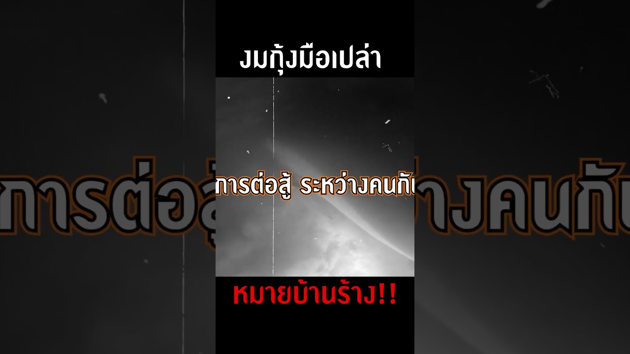 คนฟัดกับกุ้งกลางแม่น้ำ ทำได้ไง?! #djpoom #ดีเจภูมิ #คนหัวครัว