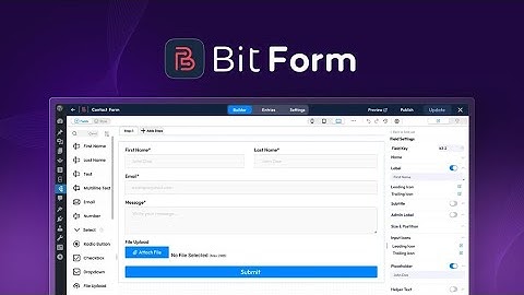 Bit Form Lifetime Deal – WordPress Form Builder Plugin