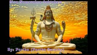 Siva Namavalyaashtakam by Partha Sarathy (Parthu) - Siva Sankeerthana Vol - 2