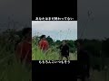こいつもそう