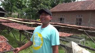 MAKING WET BANANA SALE || PRODUCTION CAPACITY REACHES 20-30 TONS PER MONTH~Dunia Kita 
