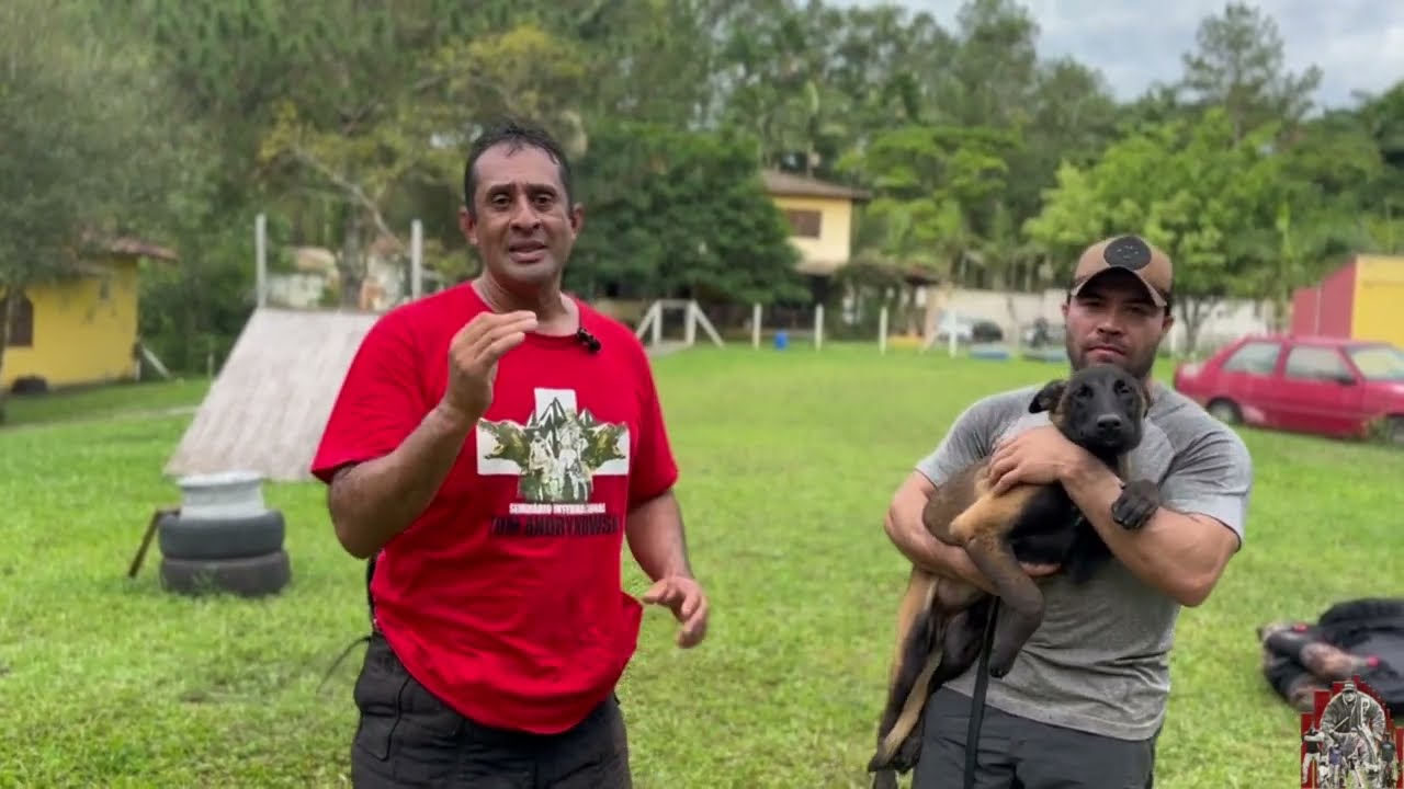 COMANDO AQUI / JUNTO JÁ DISPONÍVEL PARA MEMBROS