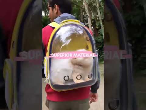 Cat carrier bag