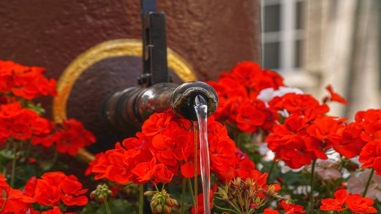 Soft Water Fountain stream 💦 gentle sound trickling no ads to help you sleep, relax , study