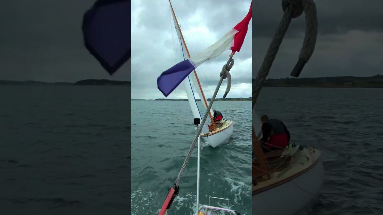 Close call on the water ⛵ #sailing #racing #shorts