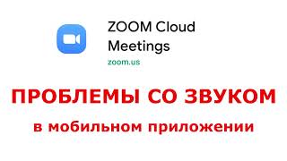 Zoom  Проблемы со звуком