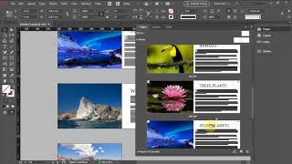 Celebrity How to export only portion of the document in Indesign? Profile