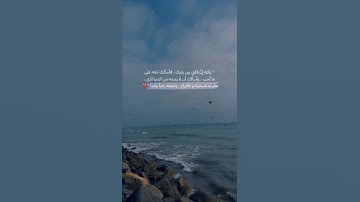 {إِنَّ أَنْكَرَ الأَصْوَاتِ لَصَوْتُ الْحَمِيرِ }| القارئ إسلام صبحي| صوت يريح النفس 😔💔🌿