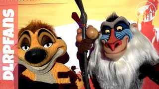 Meet and Greet Timon and Rafiki, Buzz and woody and Mickey and Minnie at Disneyland Paris