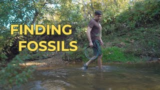 Finding Fossils