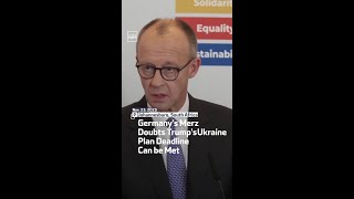 Germany's Merz Doubts Trump's Ukraine Plan Deadline Can be Met