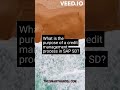 #35 What is the purpose of a credit management process in SAP SD?