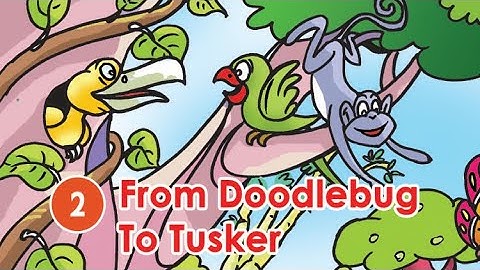 EVS standard 3 From Doodlebug to Tusker