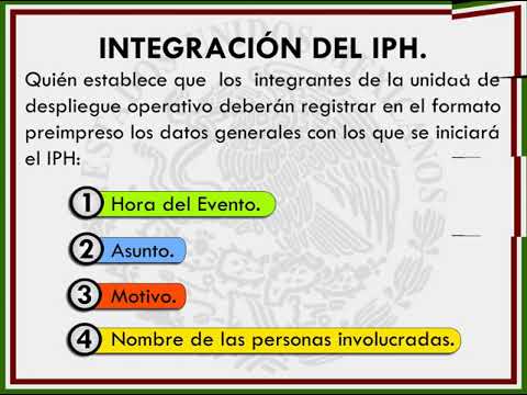 Importancia del Informe