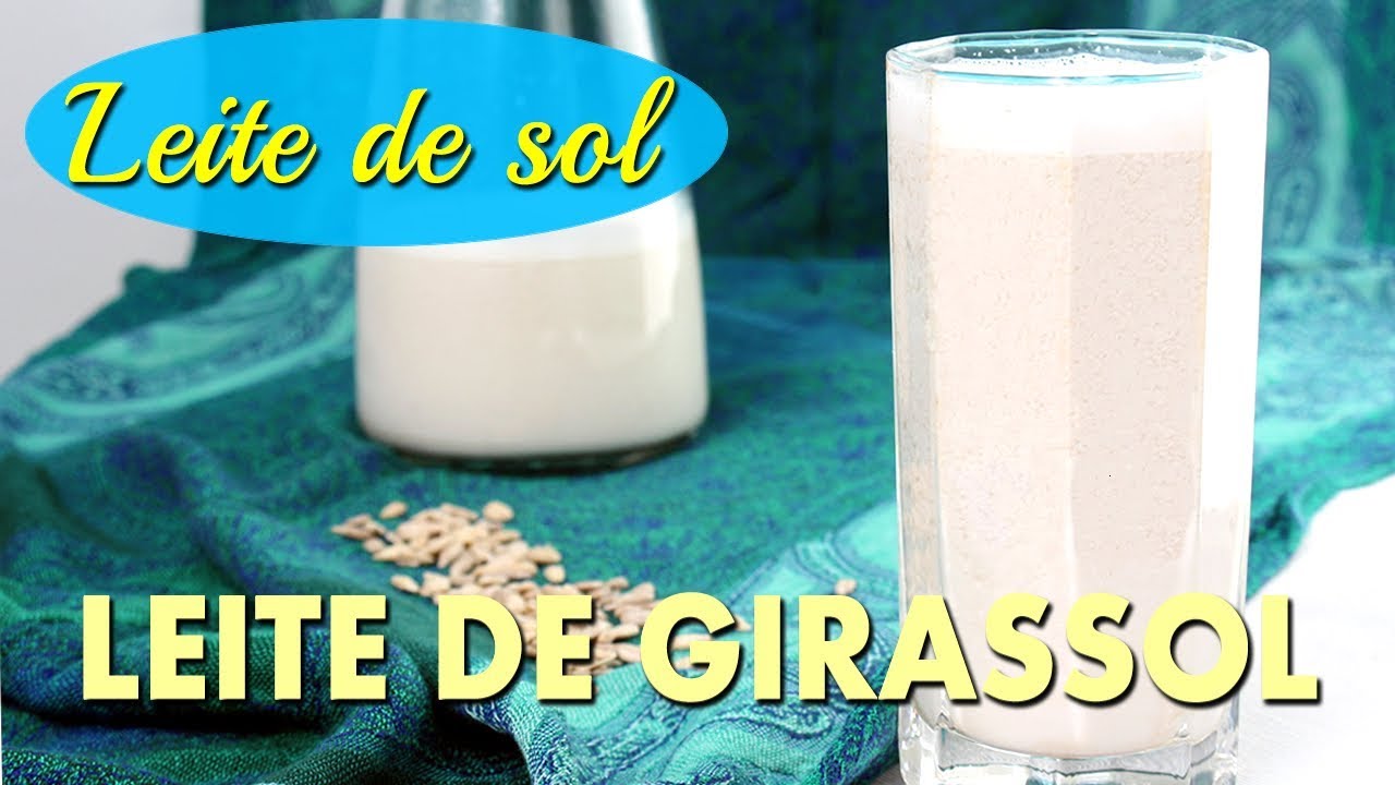 LEITE DE LUZ DO SOL: conheça o LEITE DE SEMENTE DE GIRASSOL! Sem lactose