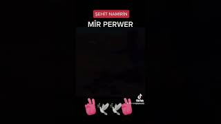 Meer perwer (singer) killed in Paris by a France terrorist with two other Kurds.