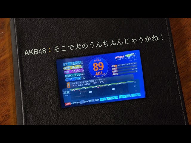 そこで犬のうんち踏んじゃうかね！：AKB48：[歌ってみた] class=