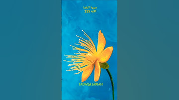 سورة البقرة الأية 255 (أية الكرسي)