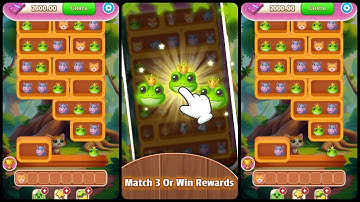 Zoo Sort: Animal Match&Win (Gameplay Android)